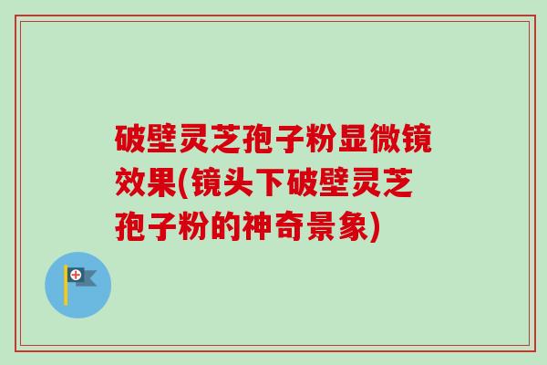 破壁灵芝孢子粉显微镜效果(镜头下破壁灵芝孢子粉的神奇景象)