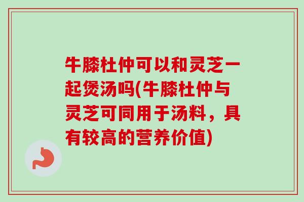 牛膝杜仲可以和灵芝一起煲汤吗(牛膝杜仲与灵芝可同用于汤料,具有较高的营养价值) 牛膝杜仲可以和灵芝一起煲汤吗(牛膝杜仲与灵芝可同用于汤料,具有较高的营养价值)