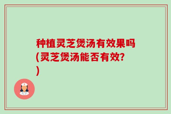 种植灵芝煲汤有效果吗(灵芝煲汤能否有效？)