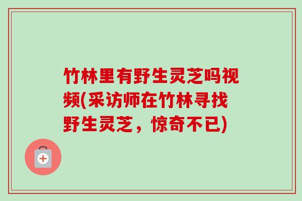 竹林里有野生灵芝吗视频(采访师在竹林寻找野生灵芝,惊奇不已) 竹林里有野生灵芝吗视频(采访师在竹林寻找野生灵芝,惊奇不已)