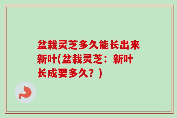 盆栽灵芝多久能长出来新叶(盆栽灵芝:新叶长成要多久?) 盆栽灵芝多久能长出来新叶(盆栽灵芝:新叶长成要多久?)