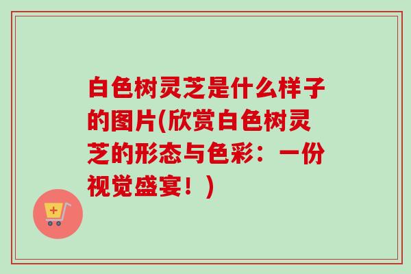 白色树灵芝是什么样子的图片(欣赏白色树灵芝的形态与色彩:一份视觉盛宴!) 白色树灵芝是什么样子的图片(欣赏白色树灵芝的形态与色彩:一份视觉盛宴!)
