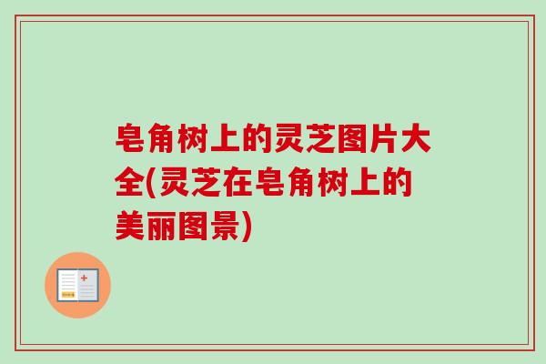 皂角树上的灵芝图片大全(灵芝在皂角树上的美丽图景) 皂角树上的灵芝图片大全(灵芝在皂角树上的美丽图景)