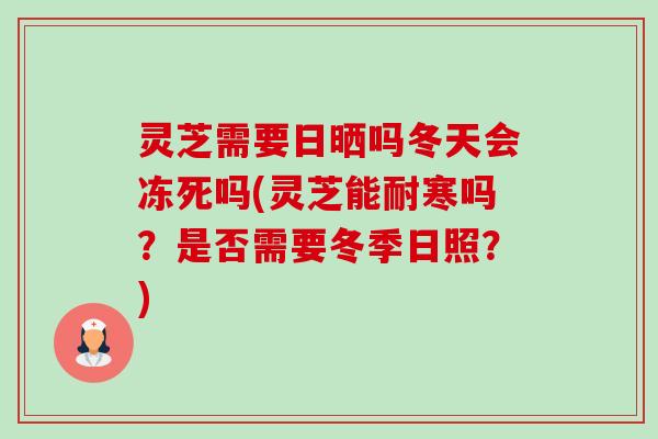 灵芝需要日晒吗冬天会冻死吗(灵芝能耐寒吗?是否需要冬季日照?) 灵芝需要日晒吗冬天会冻死吗(灵芝能耐寒吗?是否需要冬季日照?)