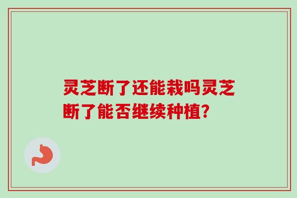 灵芝断了还能栽吗灵芝断了能否继续种植？