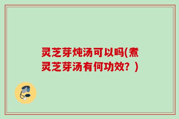 灵芝芽炖汤可以吗(煮灵芝芽汤有何功效？)