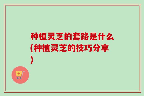 种植灵芝的套路是什么(种植灵芝的技巧分享)