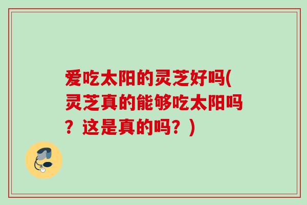 爱吃太阳的灵芝好吗(灵芝真的能够吃太阳吗？这是真的吗？)