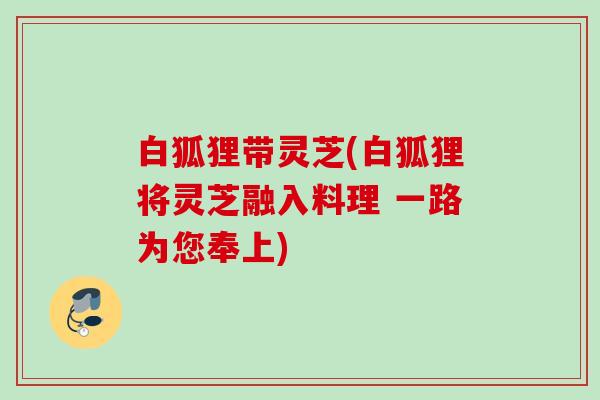 白狐狸带灵芝(白狐狸将灵芝融入料理 一路为您奉上) 白狐狸带灵芝(白狐狸将灵芝融入料理 一路为您奉上)