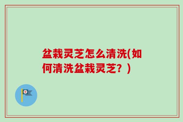 盆栽灵芝怎么清洗(如何清洗盆栽灵芝?) 盆栽灵芝怎么清洗(如何清洗盆栽灵芝?)
