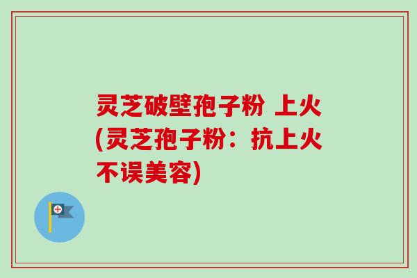 灵芝破壁孢子粉 上火(灵芝孢子粉:抗上火不误美容) 灵芝破壁孢子粉 上火(灵芝孢子粉:抗上火不误美容)