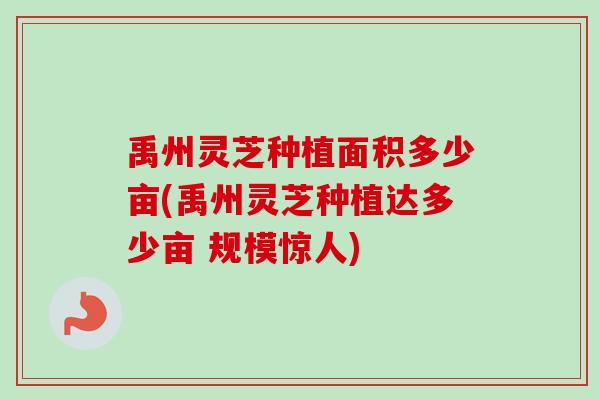 禹州灵芝种植面积多少亩(禹州灵芝种植达多少亩 规模惊人)