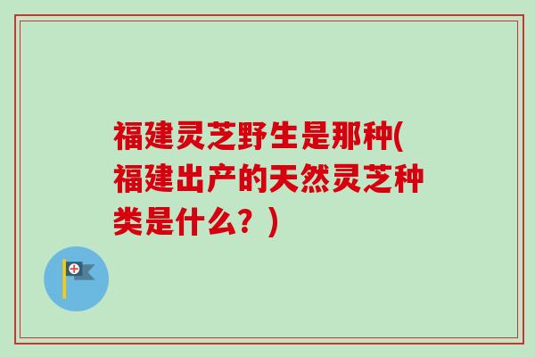 福建灵芝野生是那种(福建出产的天然灵芝种类是什么？)