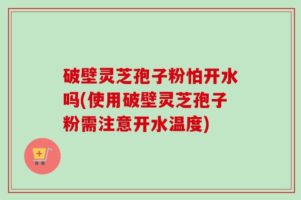 破壁灵芝孢子粉怕开水吗(使用破壁灵芝孢子粉需注意开水温度) 破壁灵芝孢子粉怕开水吗(使用破壁灵芝孢子粉需注意开水温度)