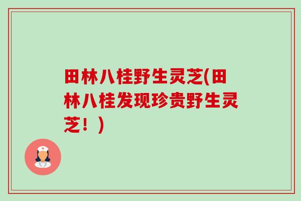 田林八桂野生灵芝(田林八桂发现珍贵野生灵芝!) 田林八桂野生灵芝(田林八桂发现珍贵野生灵芝!)
