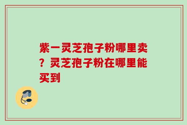 紫一灵芝孢子粉哪里卖？灵芝孢子粉在哪里能买到