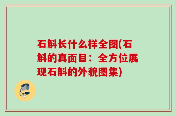 石斛长什么样全图(石斛的真面目:全方位展现石斛的外貌图集) 石斛长什么样全图(石斛的真面目:全方位展现石斛的外貌图集)