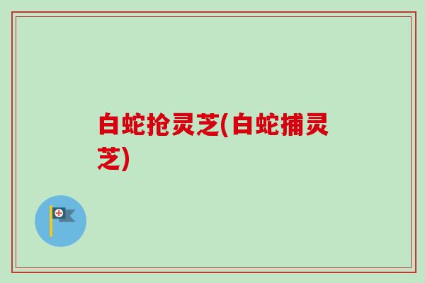 白蛇抢灵芝(白蛇捕灵芝) 白蛇抢灵芝(白蛇捕灵芝)