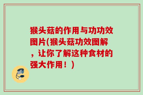 猴头菇的作用与功功效图片(猴头菇功效图解，让你了解这种食材的强大作用！)