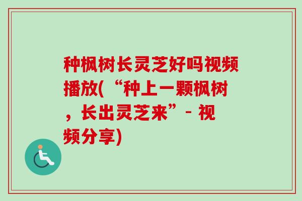 种枫树长灵芝好吗视频播放(“种上一颗枫树，长出灵芝来”- 视频分享)