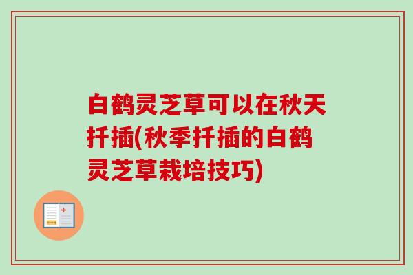 白鹤灵芝草可以在秋天扦插(秋季扦插的白鹤灵芝草栽培技巧) 白鹤灵芝草可以在秋天扦插(秋季扦插的白鹤灵芝草栽培技巧)