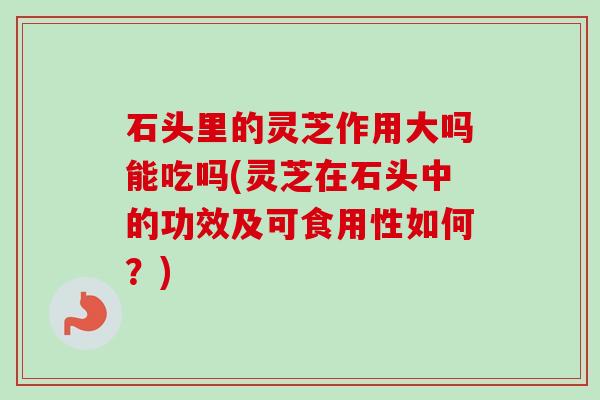 石头里的灵芝作用大吗能吃吗(灵芝在石头中的功效及可食用性如何?) 石头里的灵芝作用大吗能吃吗(灵芝在石头中的功效及可食用性如何?)