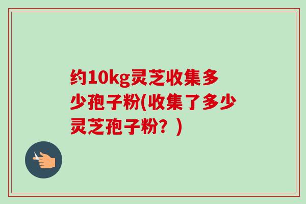 约10kg灵芝收集多少孢子粉(收集了多少灵芝孢子粉?) 约10kg灵芝收集多少孢子粉(收集了多少灵芝孢子粉?)