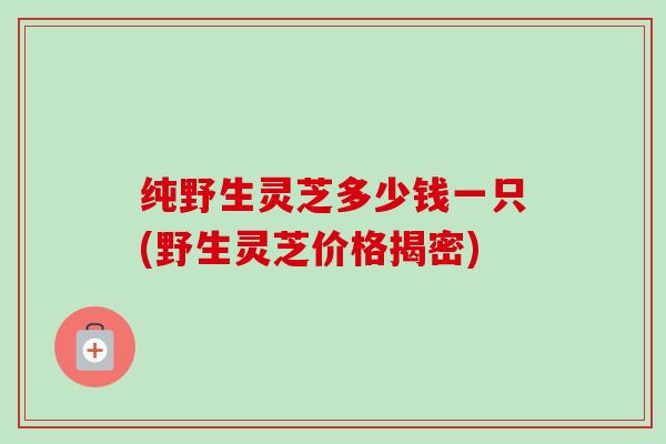 纯野生灵芝多少钱一只(野生灵芝价格揭密)