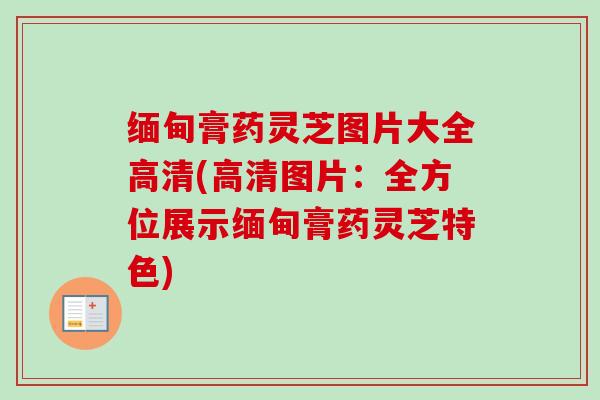 缅甸膏药灵芝图片大全高清(高清图片:全方位展示缅甸膏药灵芝特色) 缅甸膏药灵芝图片大全高清(高清图片:全方位展示缅甸膏药灵芝特色)