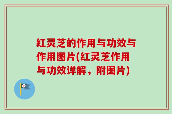红灵芝的作用与功效与作用图片(红灵芝作用与功效详解,附图片) 红灵芝的作用与功效与作用图片(红灵芝作用与功效详解,附图片)