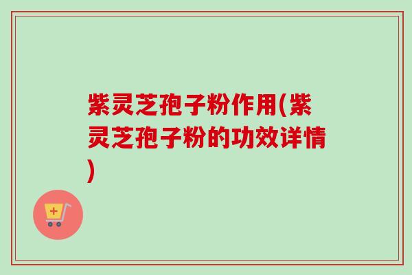紫灵芝孢子粉作用(紫灵芝孢子粉的功效详情)