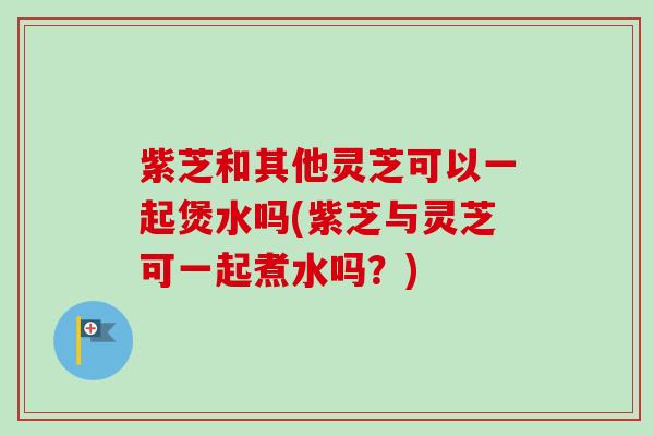 紫芝和其他灵芝可以一起煲水吗(紫芝与灵芝可一起煮水吗？)