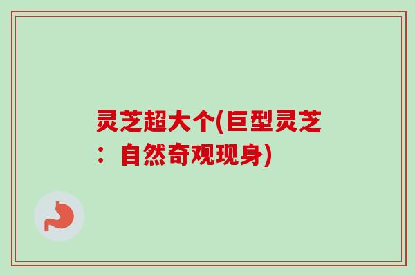 灵芝超大个(巨型灵芝:自然奇观现身) 灵芝超大个(巨型灵芝:自然奇观现身)