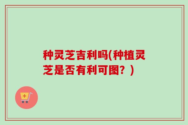 种灵芝吉利吗(种植灵芝是否有利可图?) 种灵芝吉利吗(种植灵芝是否有利可图?)