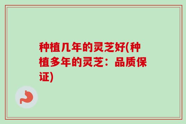 种植几年的灵芝好(种植多年的灵芝:品质保证) 种植几年的灵芝好(种植多年的灵芝:品质保证)