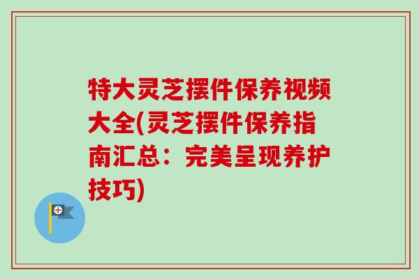 特大灵芝摆件保养视频大全(灵芝摆件保养指南汇总：完美呈现养护技巧)