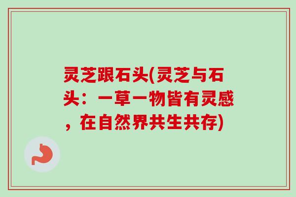 灵芝跟石头(灵芝与石头:一草一物皆有灵感,在自然界共生共存) 灵芝跟石头(灵芝与石头:一草一物皆有灵感,在自然界共生共存)