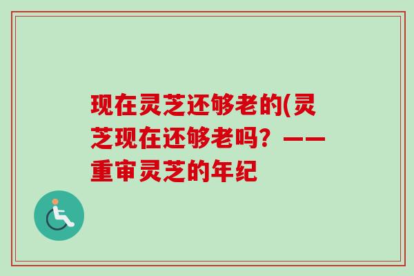 现在灵芝还够老的(灵芝现在还够老吗?——重审灵芝的年纪 现在灵芝还够老的(灵芝现在还够老吗?——重审灵芝的年纪