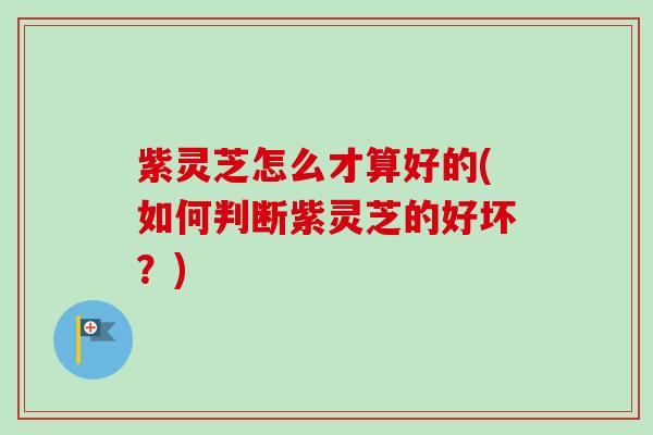 紫灵芝怎么才算好的(如何判断紫灵芝的好坏?) 紫灵芝怎么才算好的(如何判断紫灵芝的好坏?)