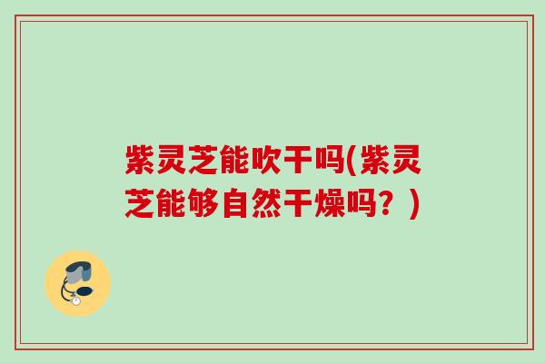 紫灵芝能吹干吗(紫灵芝能够自然干燥吗?) 紫灵芝能吹干吗(紫灵芝能够自然干燥吗?)