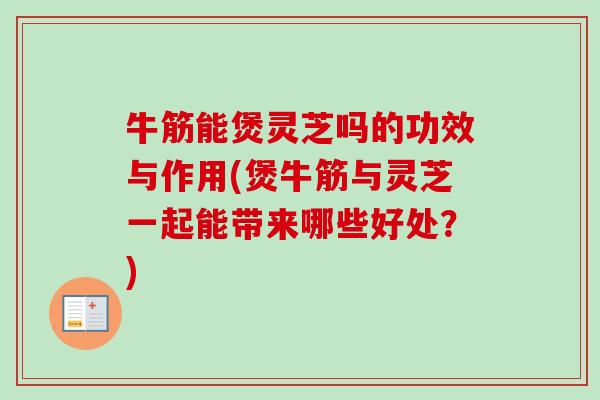 牛筋能煲灵芝吗的功效与作用(煲牛筋与灵芝一起能带来哪些好处？)