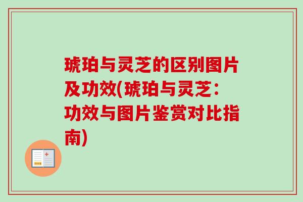 琥珀与灵芝的区别图片及功效(琥珀与灵芝:功效与图片鉴赏对比指南) 琥珀与灵芝的区别图片及功效(琥珀与灵芝:功效与图片鉴赏对比指南)