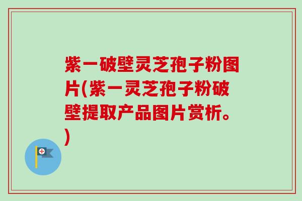 紫一破壁灵芝孢子粉图片(紫一灵芝孢子粉破壁提取产品图片赏析。) 紫一破壁灵芝孢子粉图片(紫一灵芝孢子粉破壁提取产品图片赏析。)