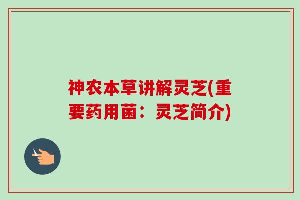 神农本草讲解灵芝(重要药用菌:灵芝简介) 神农本草讲解灵芝(重要药用菌:灵芝简介)