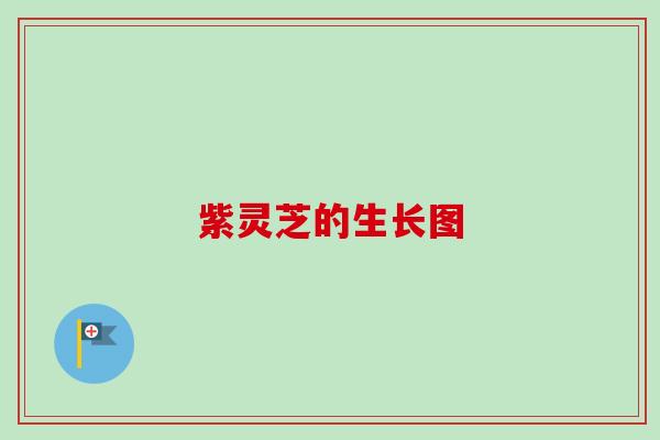 紫灵芝的生长图 紫灵芝的生长图