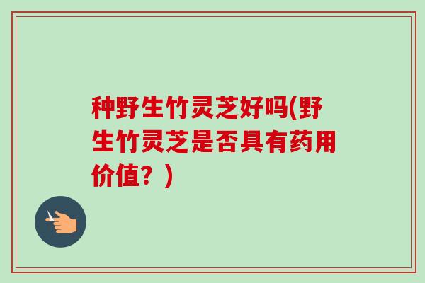 种野生竹灵芝好吗(野生竹灵芝是否具有药用价值?) 种野生竹灵芝好吗(野生竹灵芝是否具有药用价值?)
