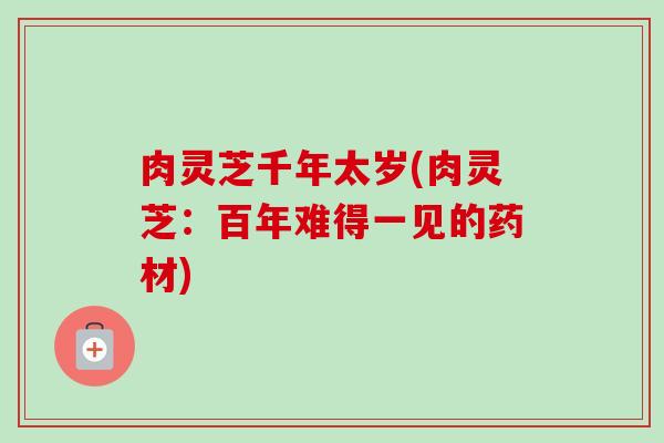 肉灵芝千年太岁(肉灵芝:百年难得一见的药材) 肉灵芝千年太岁(肉灵芝:百年难得一见的药材)