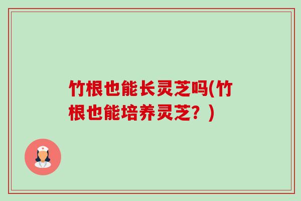竹根也能长灵芝吗(竹根也能培养灵芝?) 竹根也能长灵芝吗(竹根也能培养灵芝?)