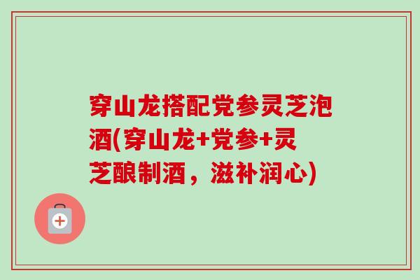 穿山龙搭配党参灵芝泡酒(穿山龙+党参+灵芝酿制酒,滋补润心) 穿山龙搭配党参灵芝泡酒(穿山龙+党参+灵芝酿制酒,滋补润心)