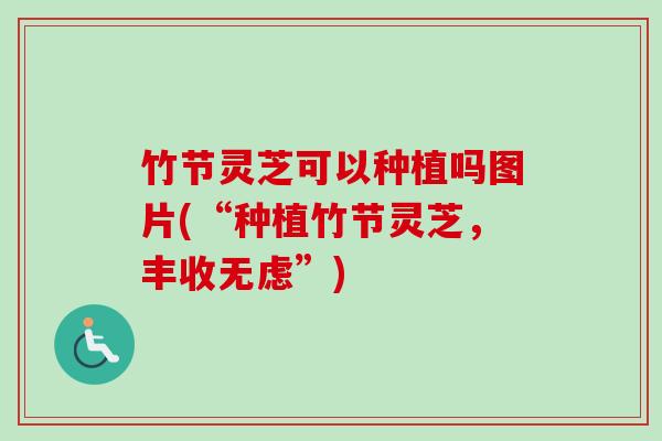 竹节灵芝可以种植吗图片(“种植竹节灵芝,丰收无虑”) 竹节灵芝可以种植吗图片(“种植竹节灵芝,丰收无虑”)